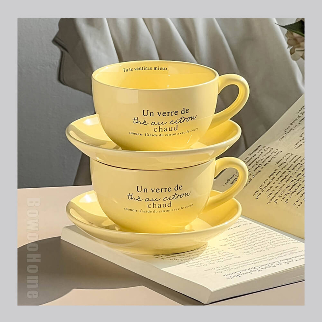 BowooHome マグカップ コーヒーカップ オシャレ シンプル カップ お手入れ簡単 ティーカップ 食洗器可 Coffee Cup 磁器 耐熱 耐冷