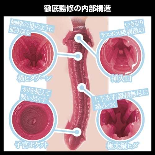 SSI JAPAN 日本の名器 青空光(青空ひかり) 女優飛機杯-SING DR
