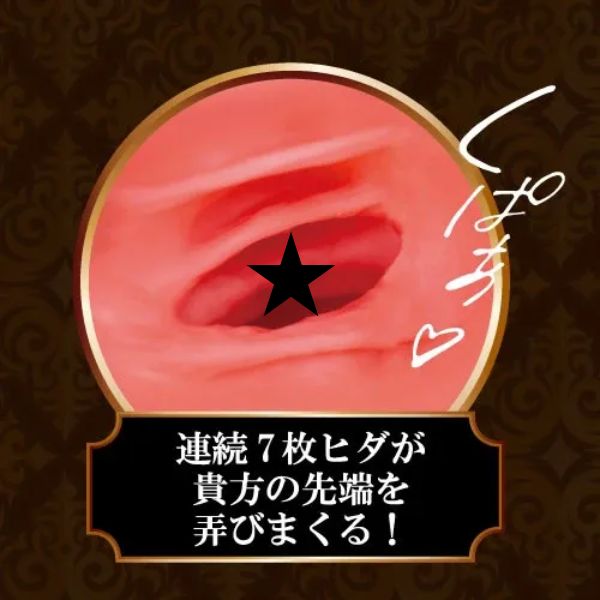 ToysHeart EXGAL 系列飛機杯，雙層黏膜構造與細緻紋路，提供持久刺激與高潮體驗。