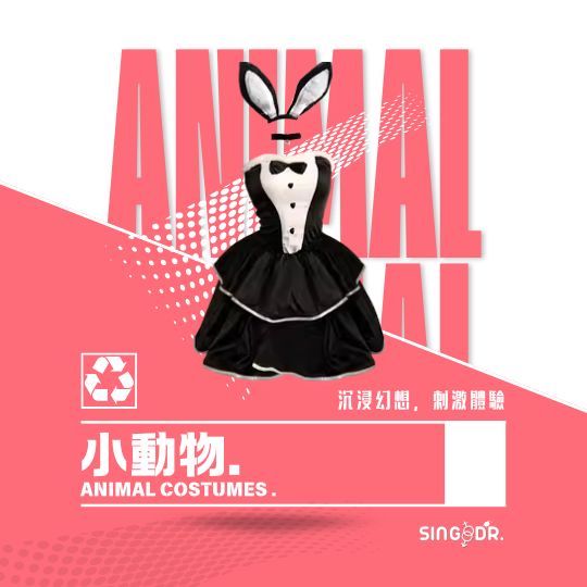 小動物