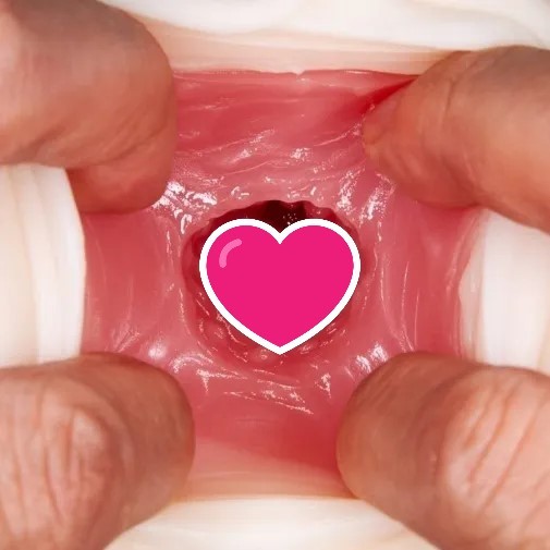 NPG 若妻名器 水野朝陽 女優名器飛機杯