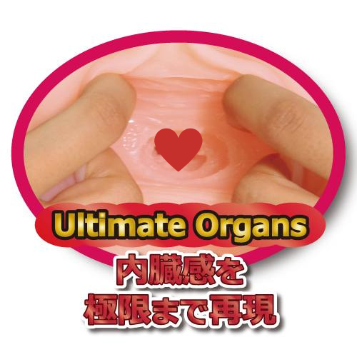 ToysHeart 工口姐姐超刺激版，TPE材質，內層單層構造，搭配20ml潤滑液，享受最真實快感。