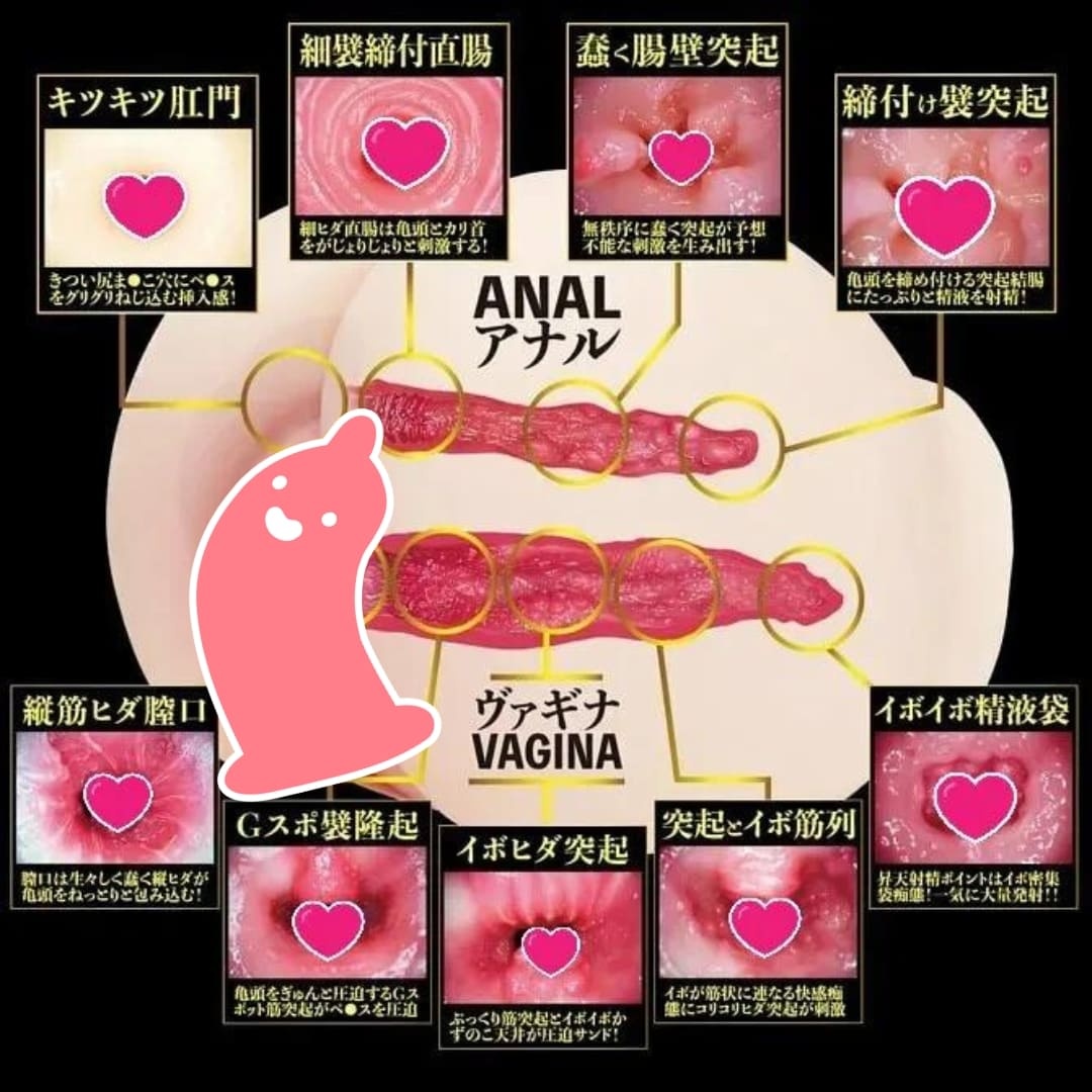 NPG 雙穴 生桃尻 深田詠美 女優飛機杯