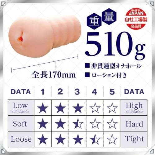 日本TMT AI智能NO.13