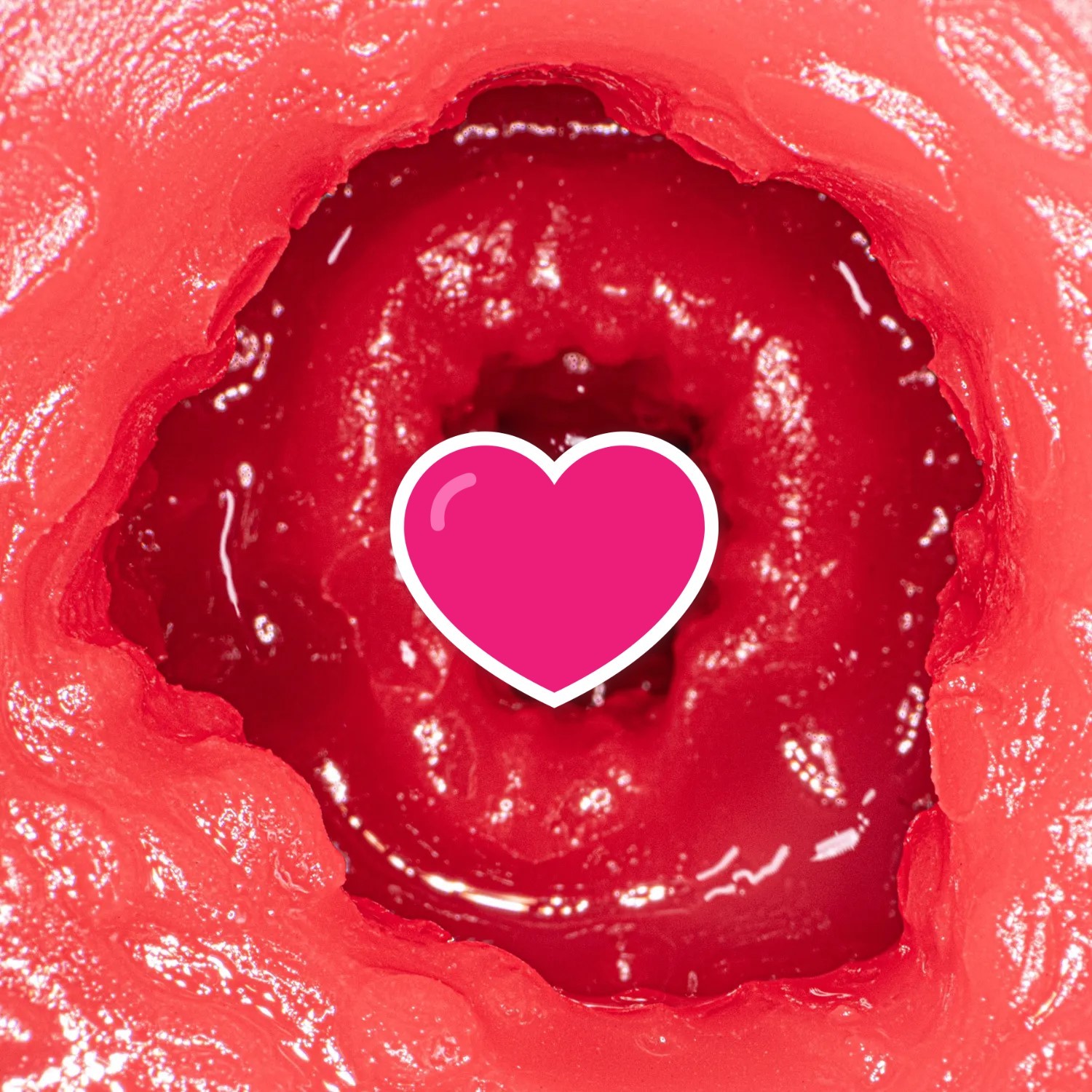 NPG 新 熟女の星 JULIA 秘密部分完全複製 女優名器飛機杯