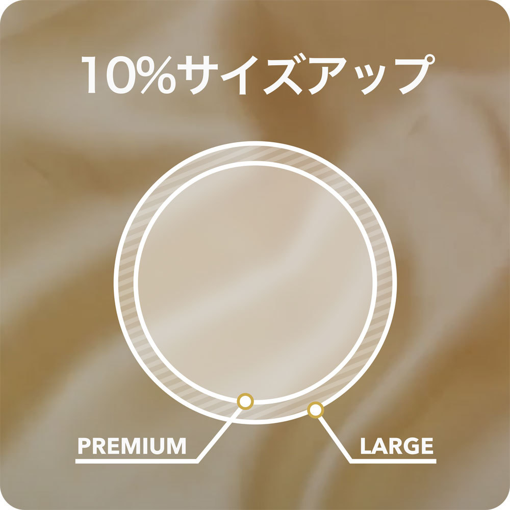 SKYN Premium 大碼 (日本版) IR安全套 10片裝