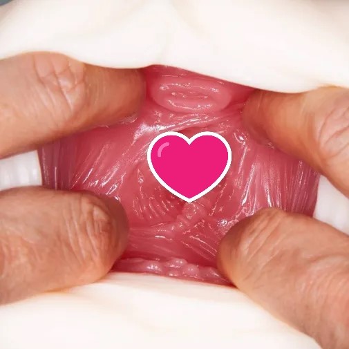 NPG 若妻名器 水野朝陽 女優名器飛機杯