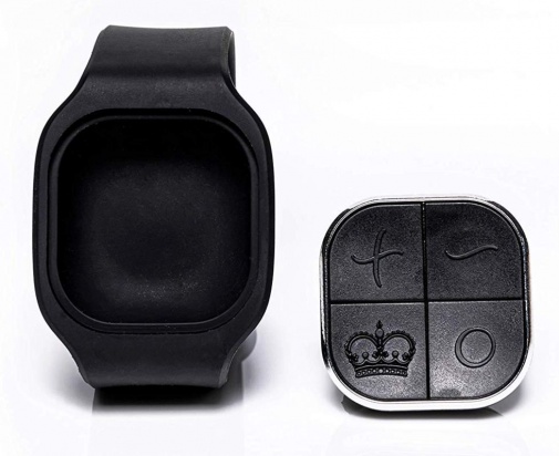 Hot Octopuss Pulse Solo LUX 搖控震動飛機杯