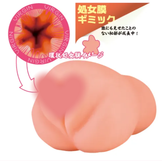 Toys Heart 純潔の蜜壺 進化 動漫飛機杯