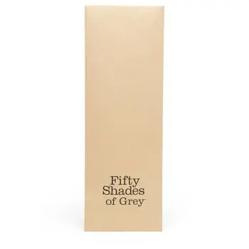 Fifty Shades of Grey 懲戒拍