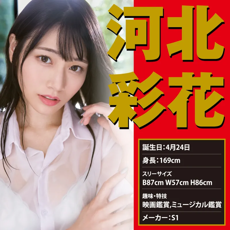 EXE Japanese Hole 激 河北彩花 女優名器飛機杯，模擬真實性愛體驗，雙層仿真設計，附潤滑液