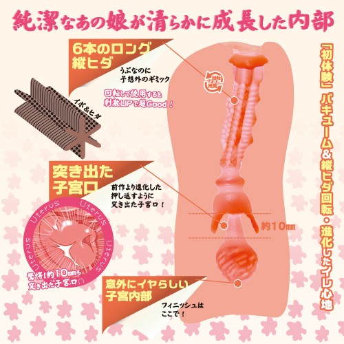 Toys Heart 純潔の蜜壺 進化 動漫飛機杯