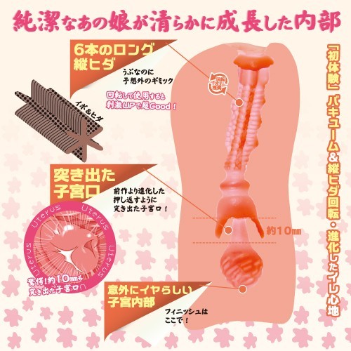 Toys Heart 純潔の蜜壺 進化 動漫飛機杯