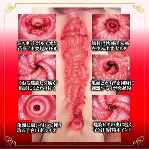 NPG 愛弓涼 女優名器 600g，日本製仿真構造，陰道與肛門雙開口設計，非穿透式，附贈潤滑液與明星海報。