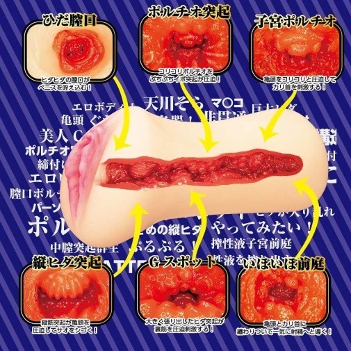 NPG 天川空 空姐女優飛機杯 355g，雙層TPE材質，緊緻入口與疣狀褶皺內部設計，帶來極致仿真快感體驗。