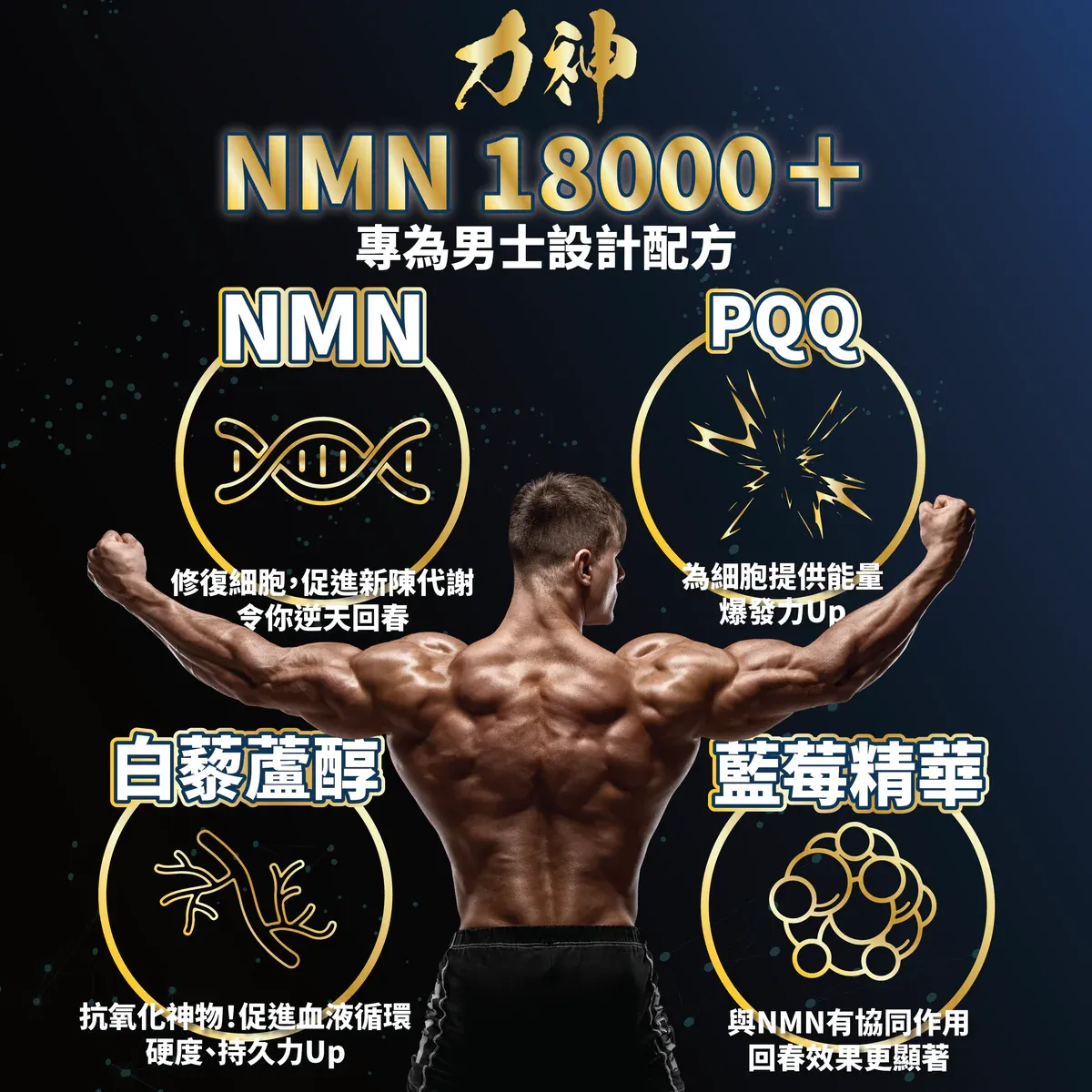 力神 NMN 18000+ 男士逆天回春丸，快速激活細胞，增強體力與抗衰老效果。