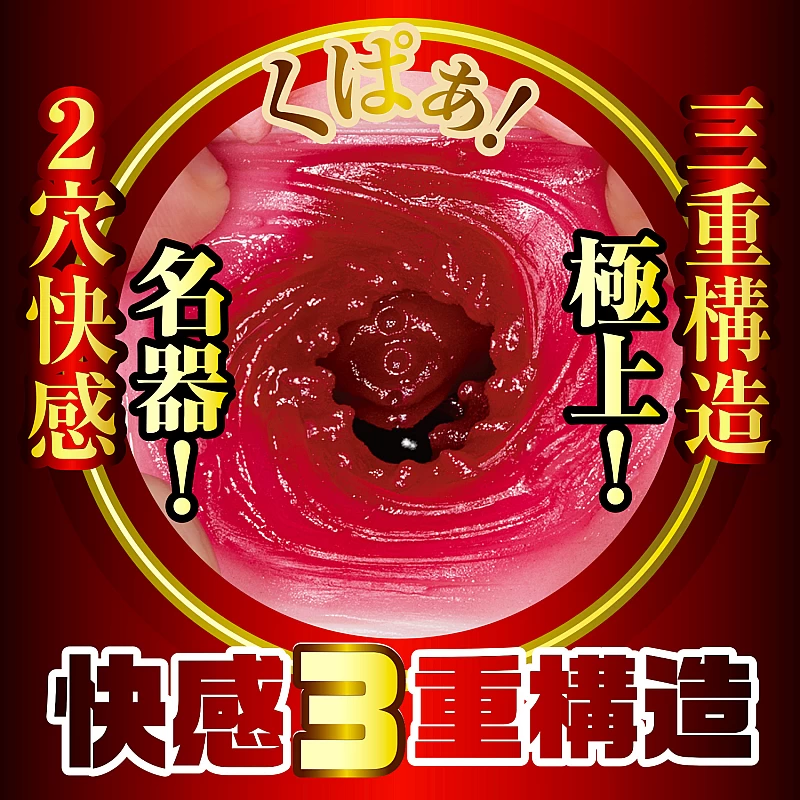 NPG 榮譽之名器2 森日向子(栄誉の名器2 森日向子)-SING DR