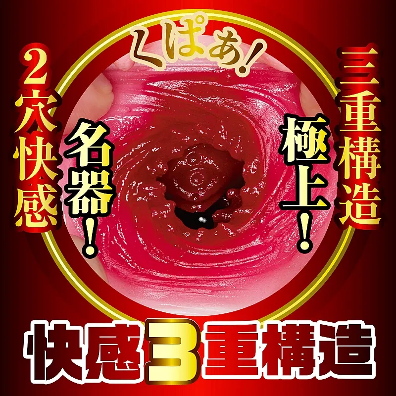 NPG 榮譽之名器2 森日向子(栄誉の名器2 森日向子)-SING DR