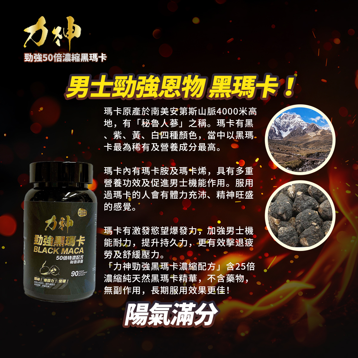 力神 瑪卡濃縮配方 90粒 樽裝