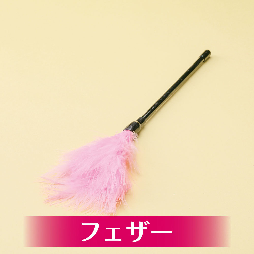 T-BEST SM十件套裝，設計友好，適合初學者，提供全方位的SM遊戲體驗，粉紅色。