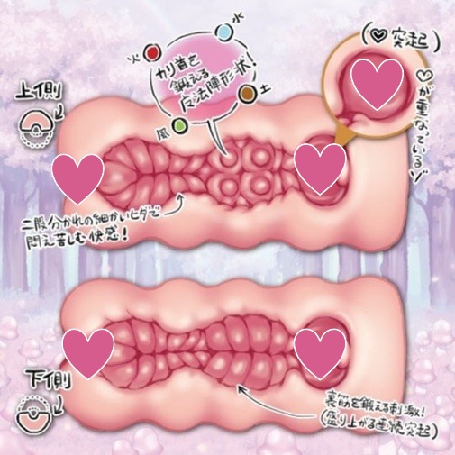 ToysHeart R-18 鍛鍊型 動漫飛機杯