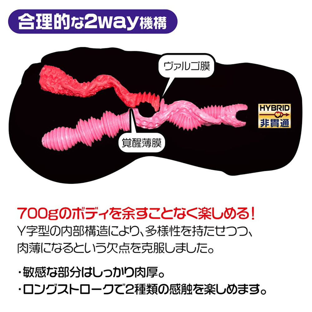 Magic Eyes 極彩玫瑰情人 雙穴飛機杯