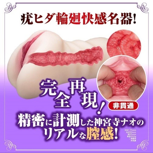 NPG 神宮寺奈緒 女優飛機杯，600g重量，擬真陰道與子宮口設計，非貫通內部增強吸附感，極致享受。