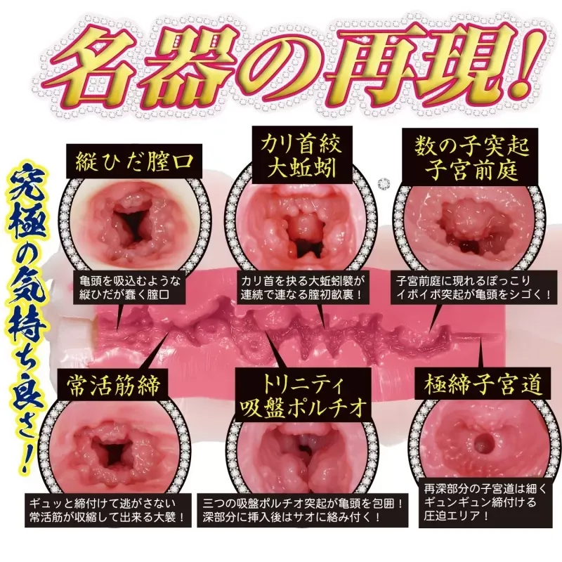 NPG 名器再現 AIKA 女優飛機杯