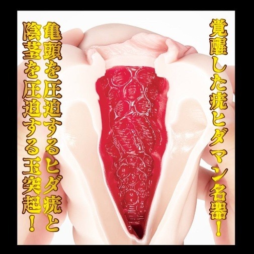 NPG 名器覺醒 神木麗 女優名器飛機杯