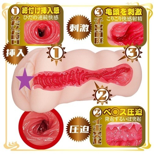 NPG 橋本有菜AV女優迷你飛機杯