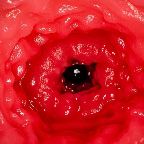 NPG 新井リマAV女優迷你飛機杯