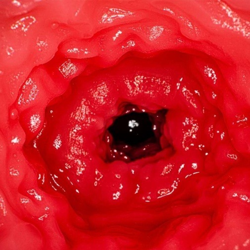 NPG 新井リマAV女優迷你飛機杯