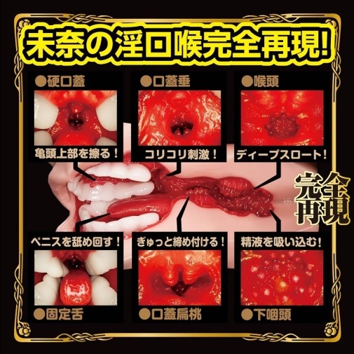 NPG 北野未奈口交自慰器，螺旋突起與非貫通設計，模擬真實口交體驗。