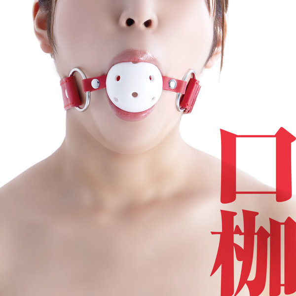 A-One SMart Joint003 口塞，紅色高品質合成皮革，適合各種SM遊戲與綑綁玩法，提升親密挑戰感。