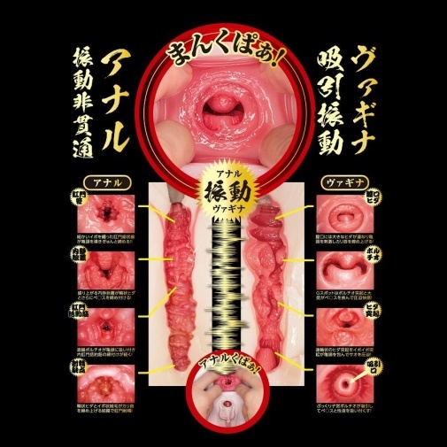 日本製 NPG 北野未奈 電動版雙穴名器，7,100rpm 震動馬達，TPE材質，USB充電，帶來逼真體驗。