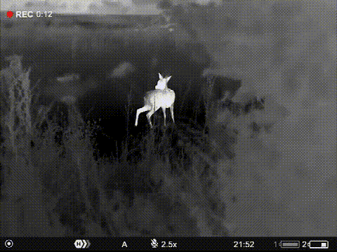 20240720_094920_055.gif