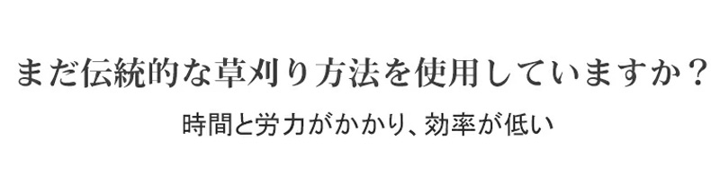 C_03.jpg
