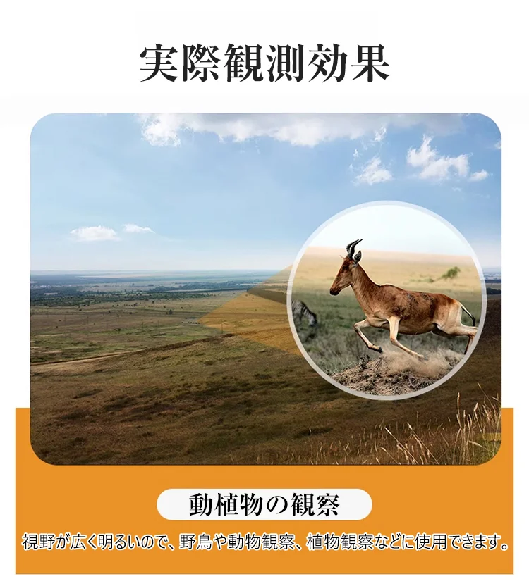 c31c345f177acee8de05931cbaee1d79.webp