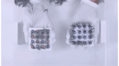 eed2a48923692a433bc2b9ee372bf687.gif