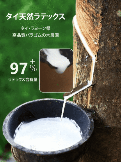 天然ラテックス安眠枕