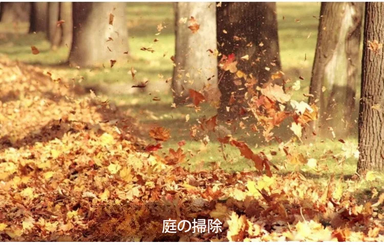 未标题-1_11.jpg