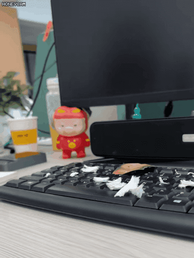 未标题-1_07.gif