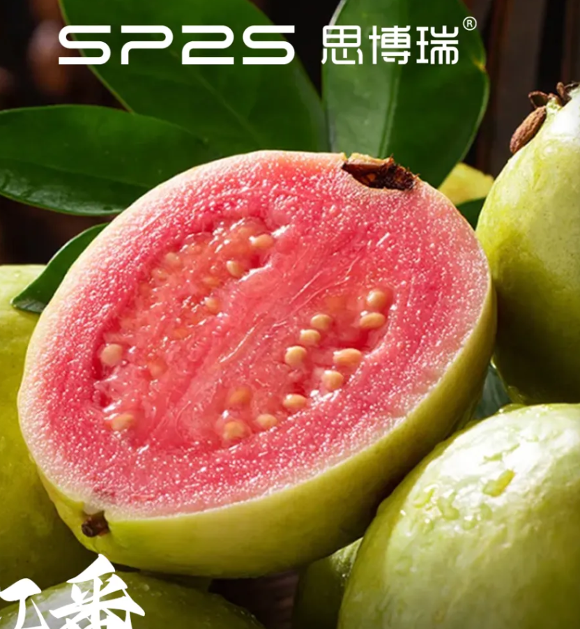 SP2S Max 菸彈完整解析與優缺點分析，搭配選購建議與使用指南SEO內容