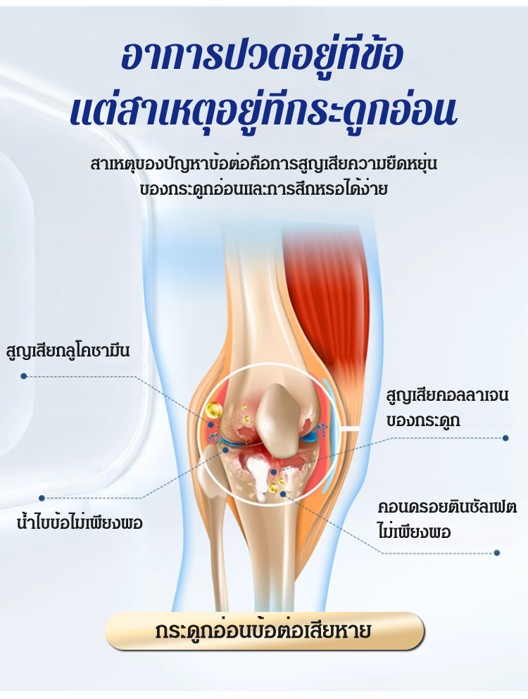英语_09.jpg