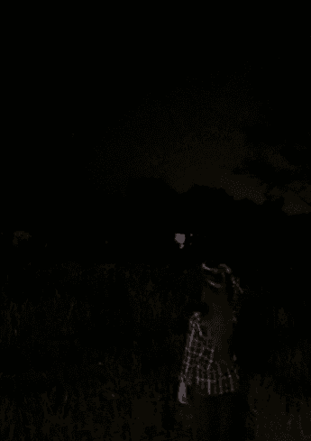 fanyi_16.gif