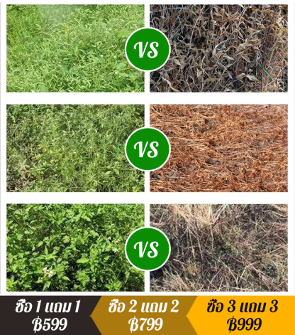 ยากำจัดวัชพืชอเนกประสงค์
