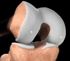 英语_11.gif
