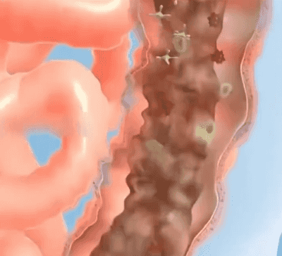翻译件-HFH-维生素镁片-1244922_18.gif