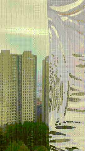 下载 (5) (1).gif