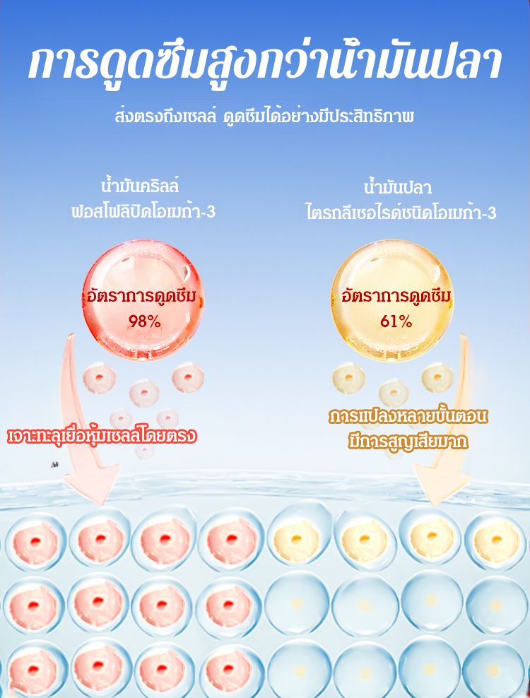 泰语_10.jpg
